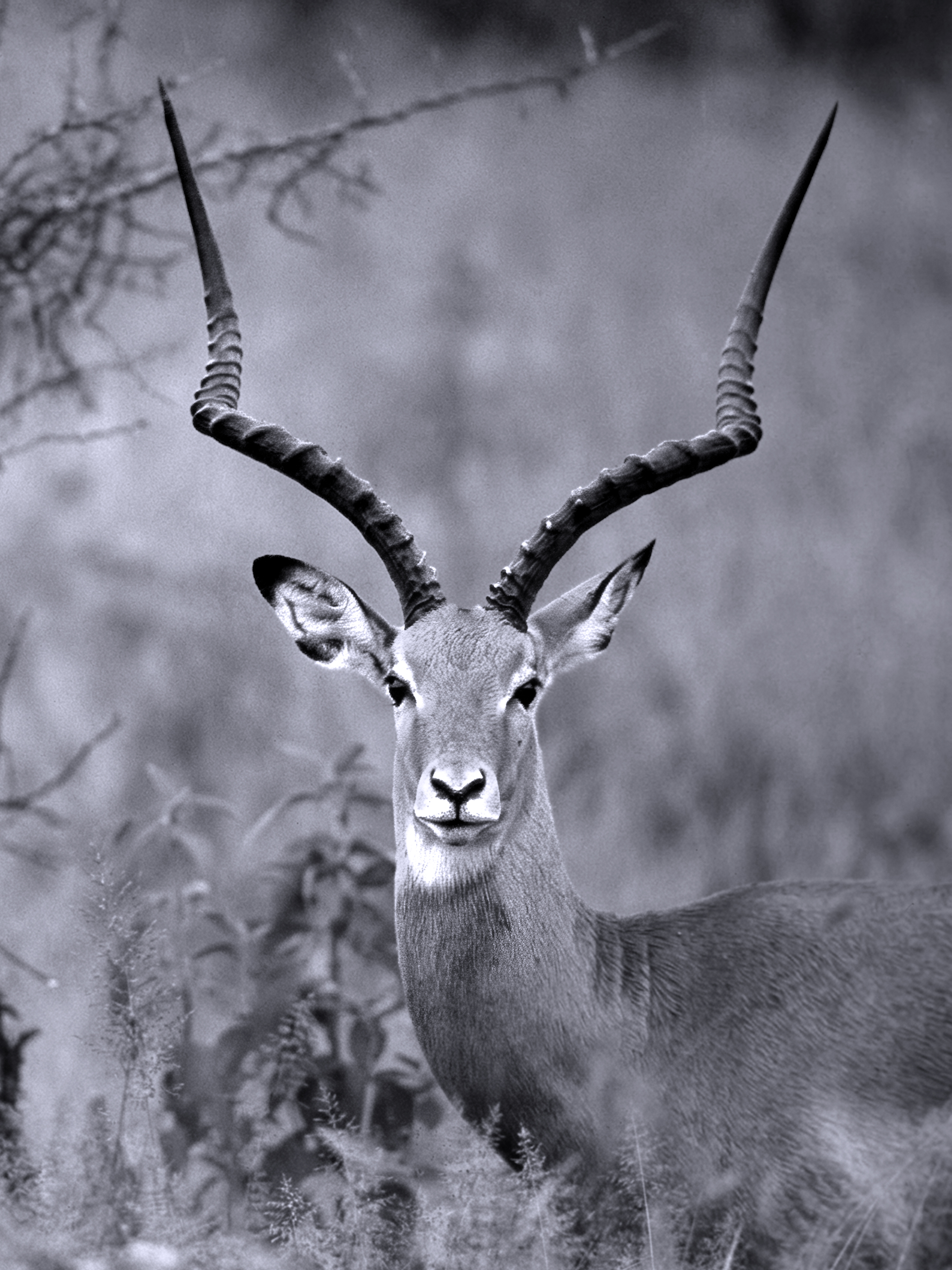 Direction artistique et lumiere naturelle