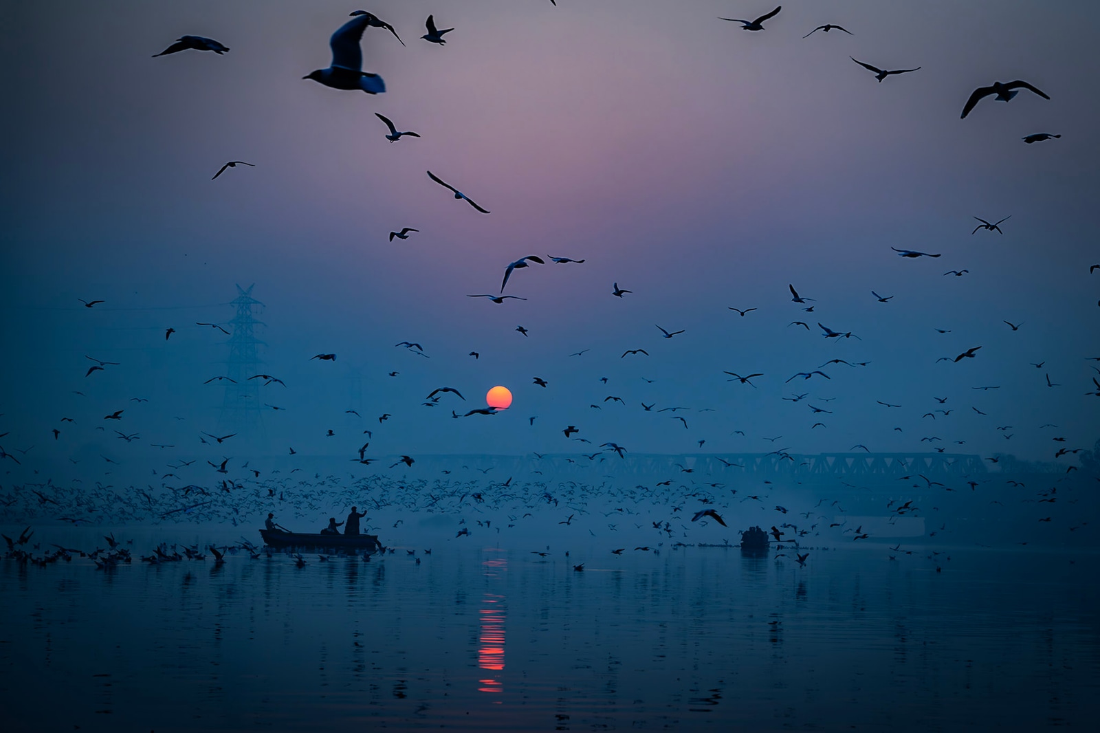 India 2026