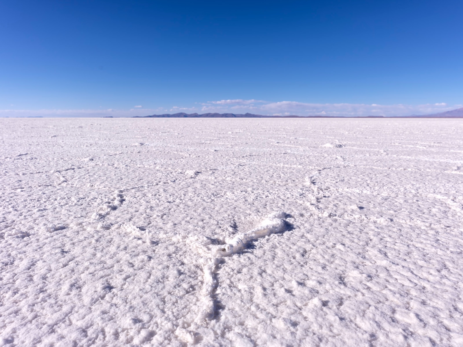 Bolivia 2025